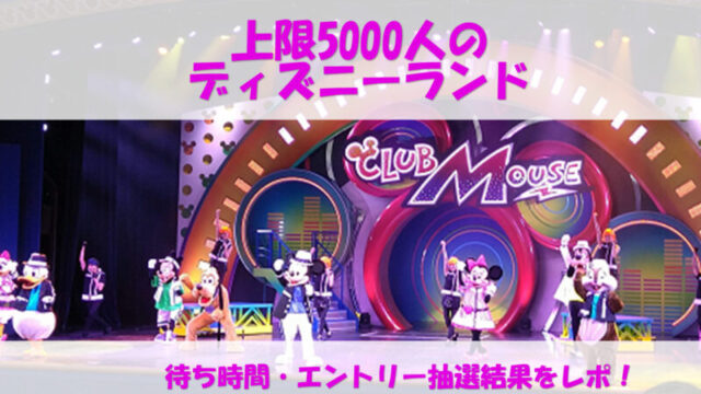 上限5000人制限のディズニーランドで待ち時間 エントリー当選確率はどれくらい 夢を叶えたいママのブログ