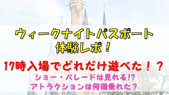 体験談 解説 ディズニーで落とし物しちゃったらどうすればいい 夢を叶えたいママのブログ